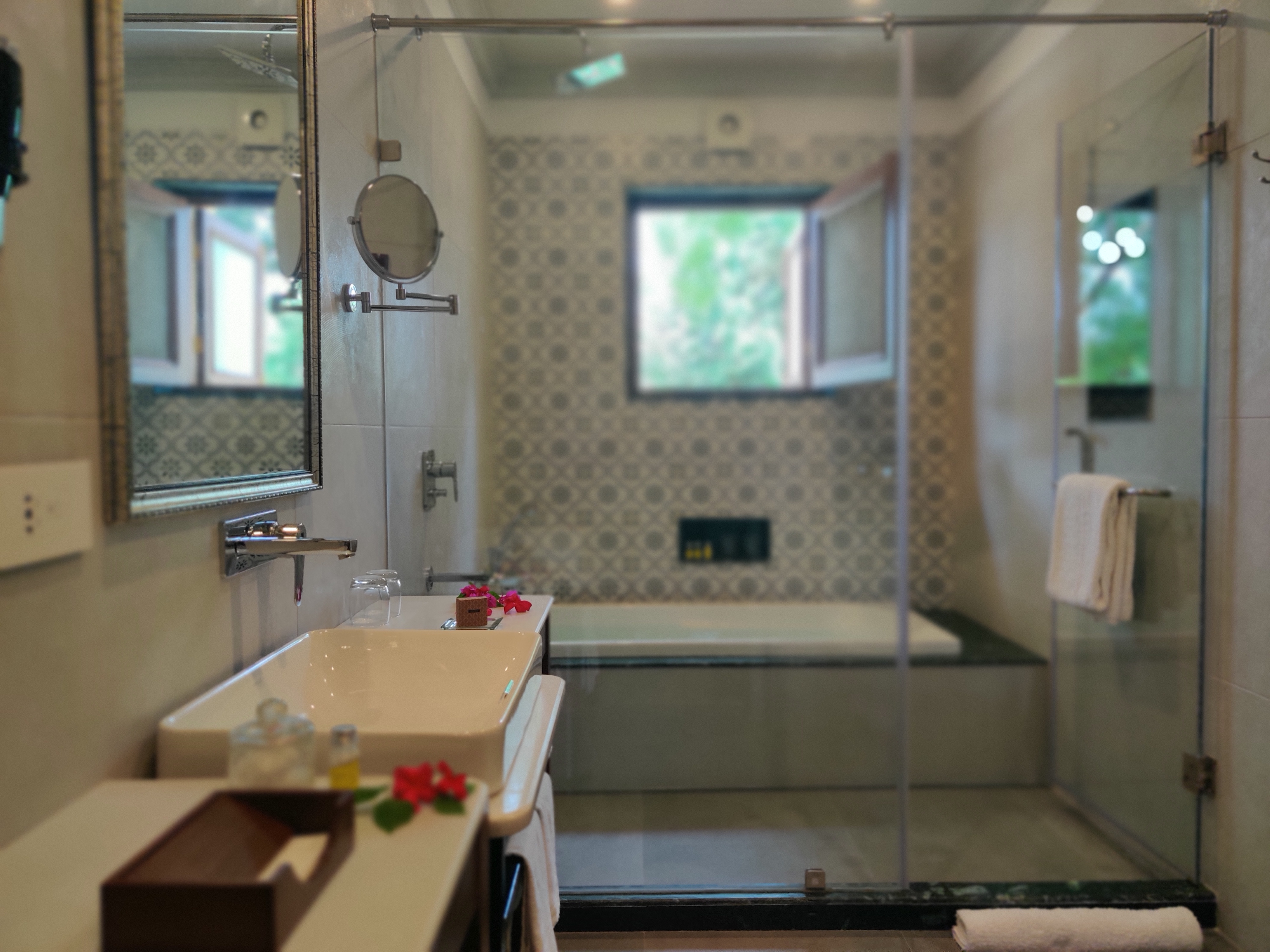 Image from Samode Bagh